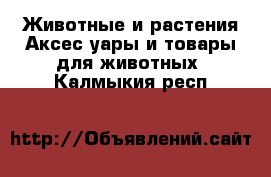 Животные и растения Аксесcуары и товары для животных. Калмыкия респ.